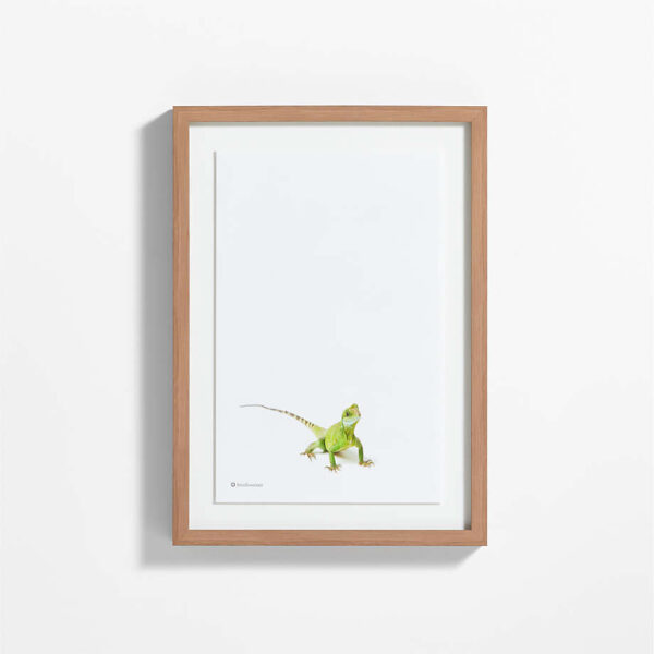 Smithsonian Drago the Asian Water Dragon Framed Wall Art Print